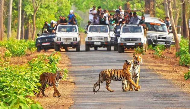 Daringbadi Tour Odisha