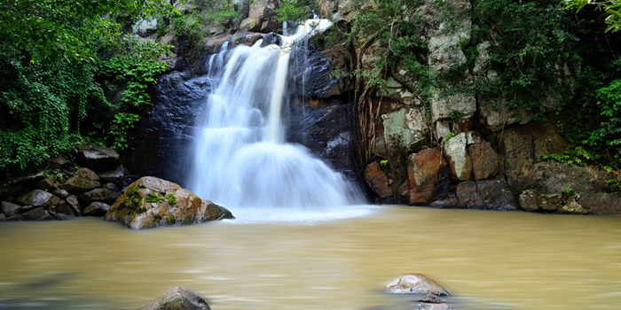 Daringbadi Tour Odisha